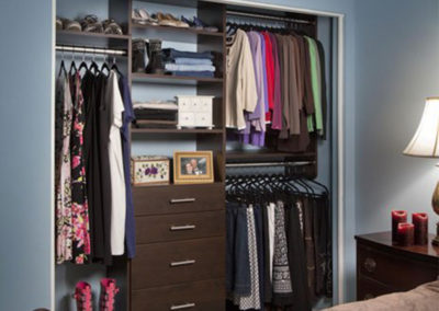 Modern Reach-in Closet