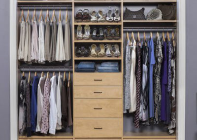 Secret Modern Woman's Reach-in Closet